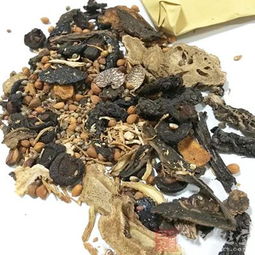 展望“十三五”，全力推進中醫藥振興發展——構建高品質中醫養生保健服務體系