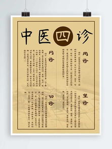 中醫(yī)保健四季養(yǎng)生指南 順應(yīng)自然，調(diào)和陰陽